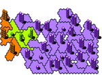 Konkista-dado-jokoa