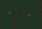 Rpg-jatek-az-indianok-field-command-3